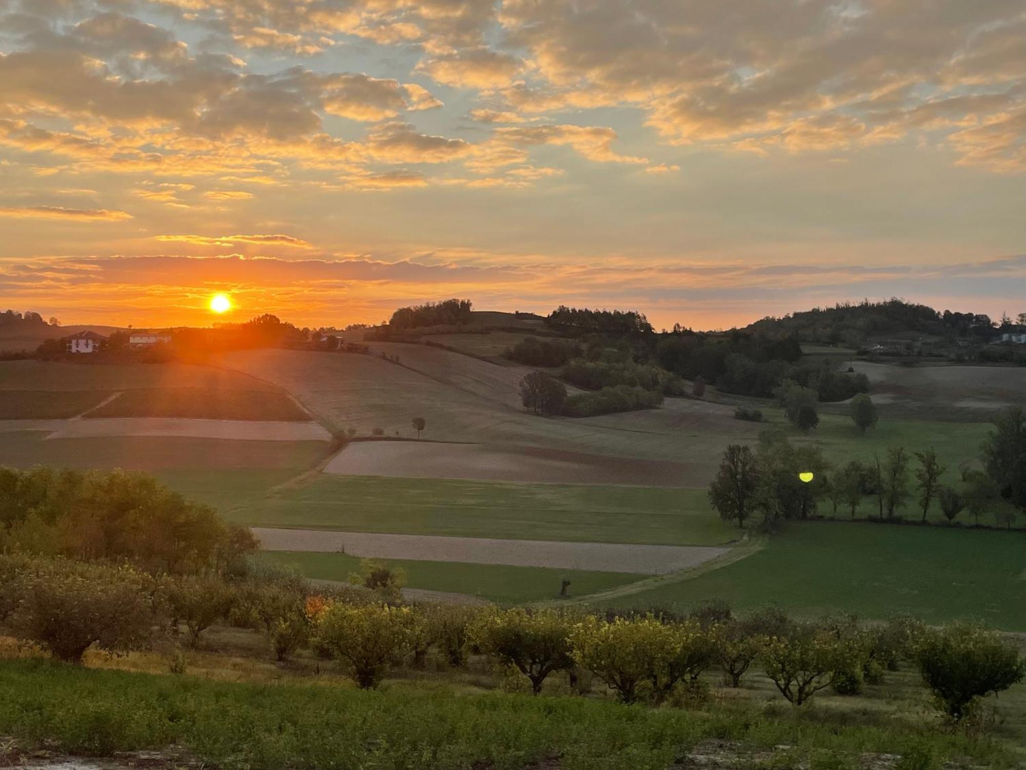Azienda Agricola Tenuta Del Barone Calliano  Εξωτερικό φωτογραφία