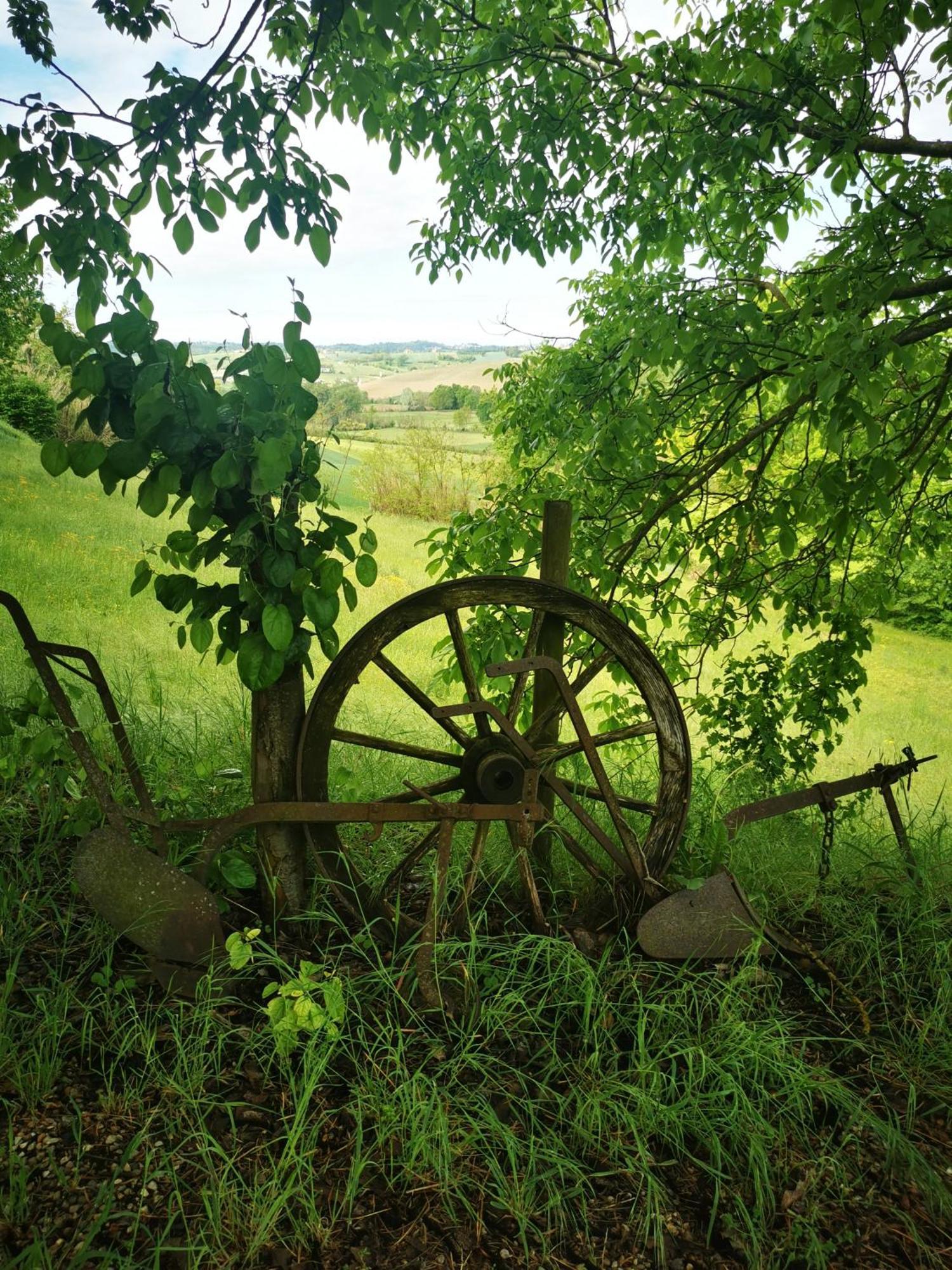 Azienda Agricola Tenuta Del Barone Calliano  Εξωτερικό φωτογραφία